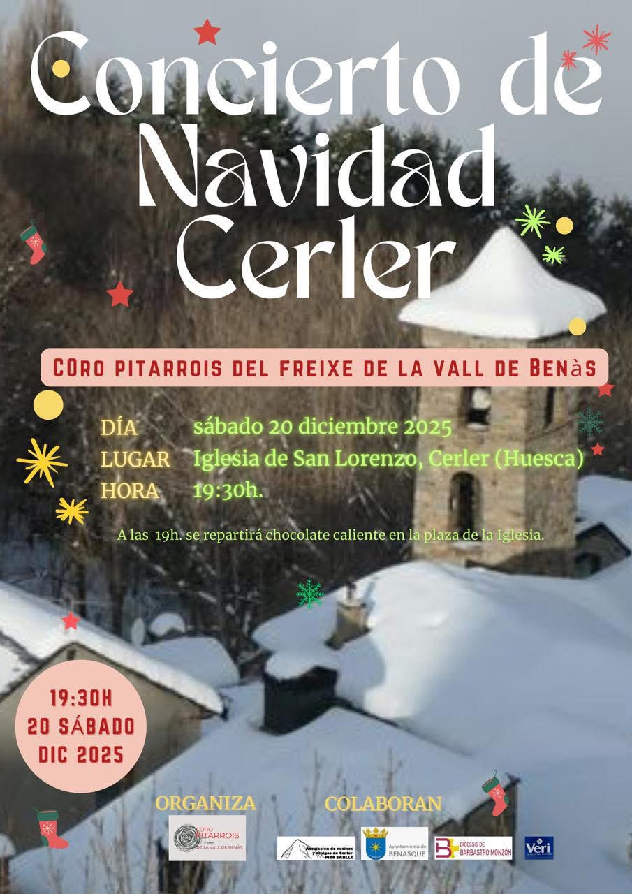 Concierto Navidad Pitarrois