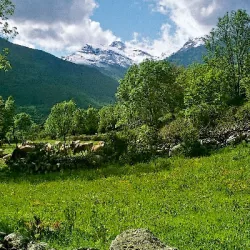 79_camino_liri_sos_960