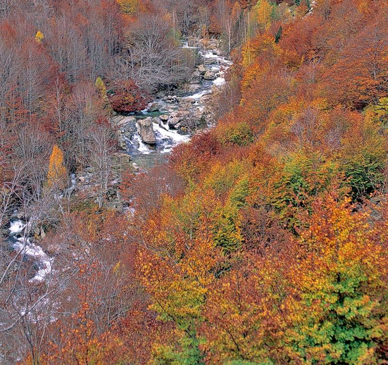 Ribagorza: Un Destino Turístico Inteligente en los Pirineos