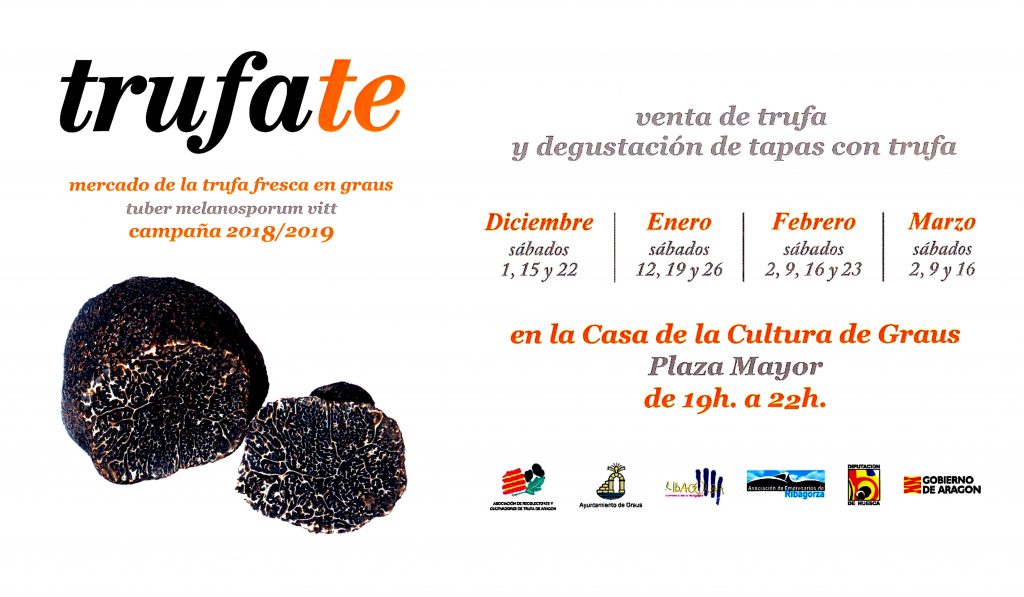 mercado trufa tv hall copia 1024x597