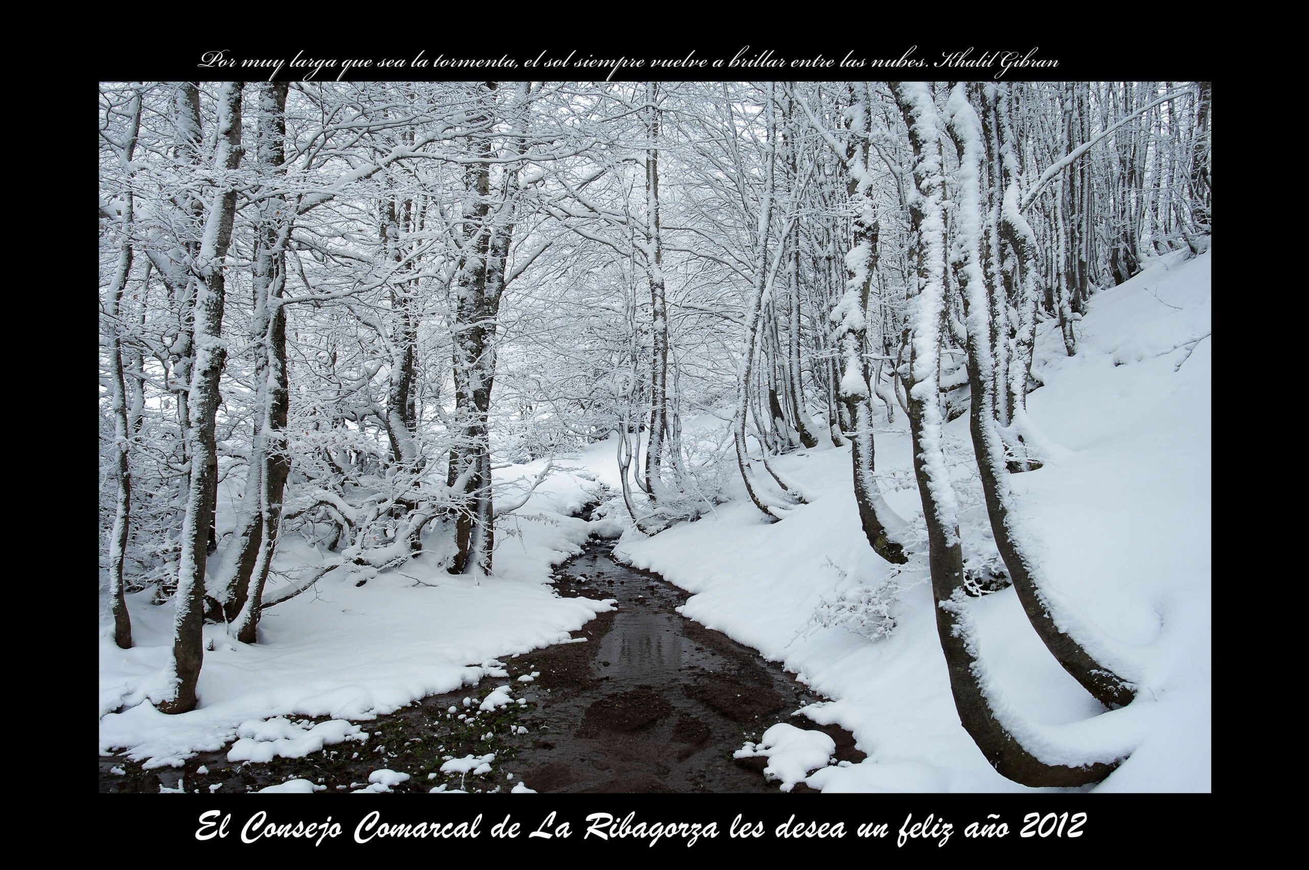 postal navidad 2011